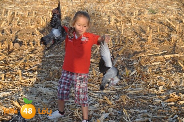 7amam lud monir 908 (46).JPG